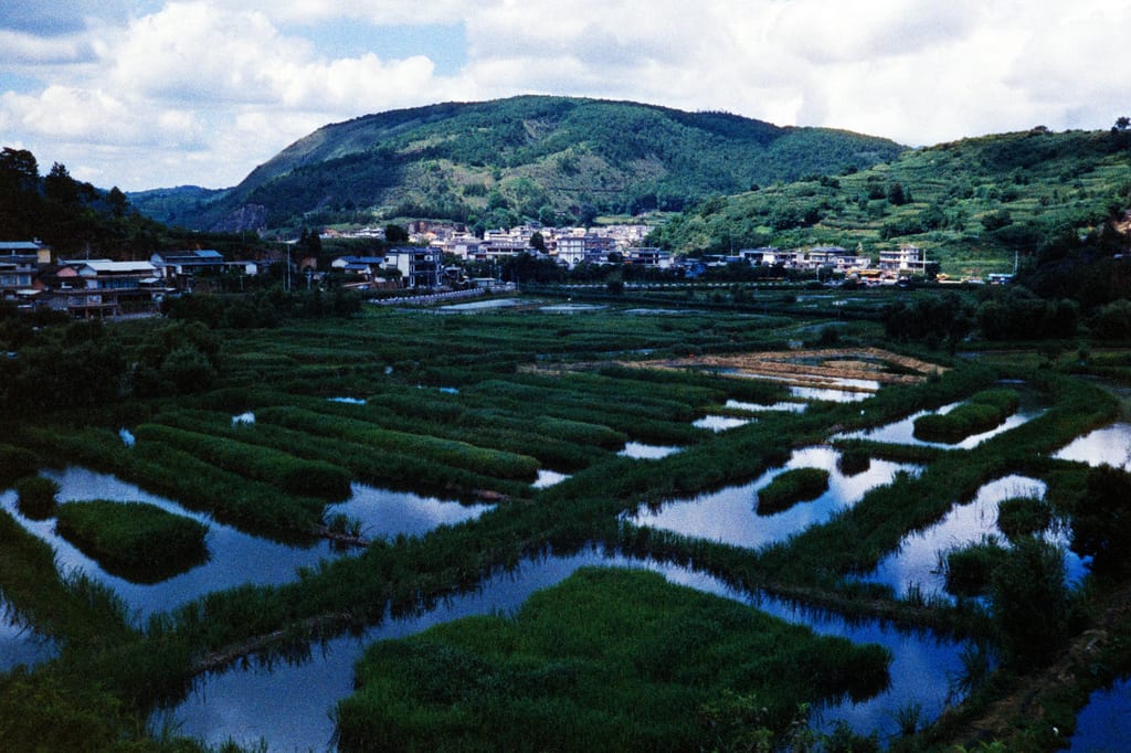 缓慢生长的盆地