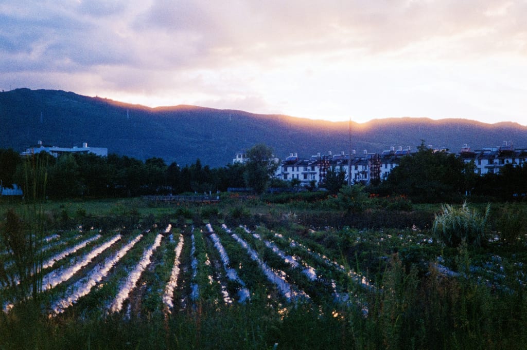 缓慢生长的盆地（Slowly Growing Basin）第 8 张