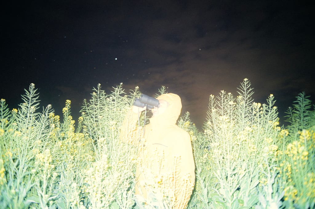 Starry Night（星夜）第 3 张